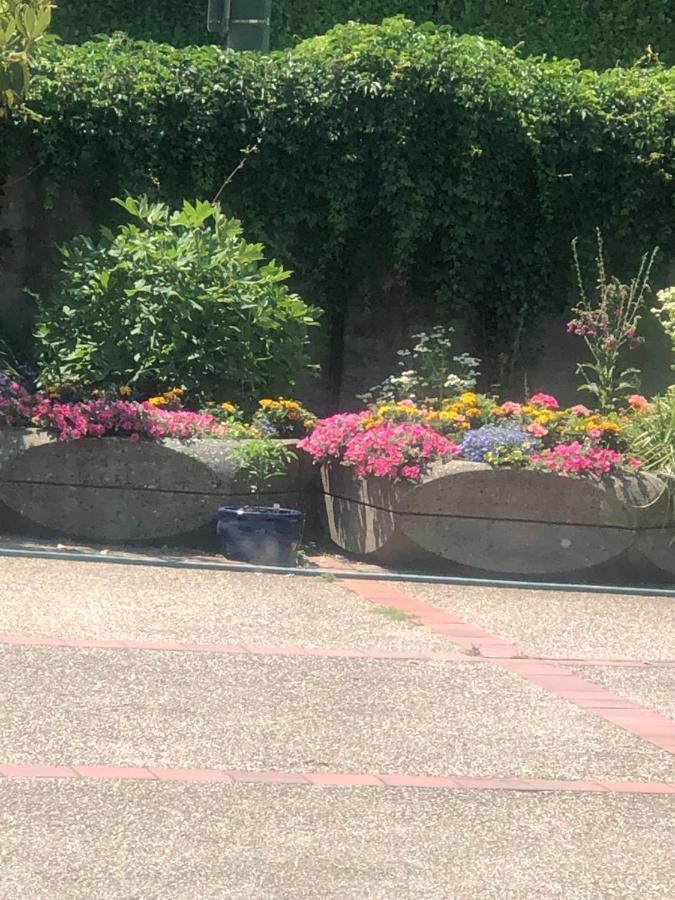 Vancouver Shaughnessy Guest Home Bagian luar foto