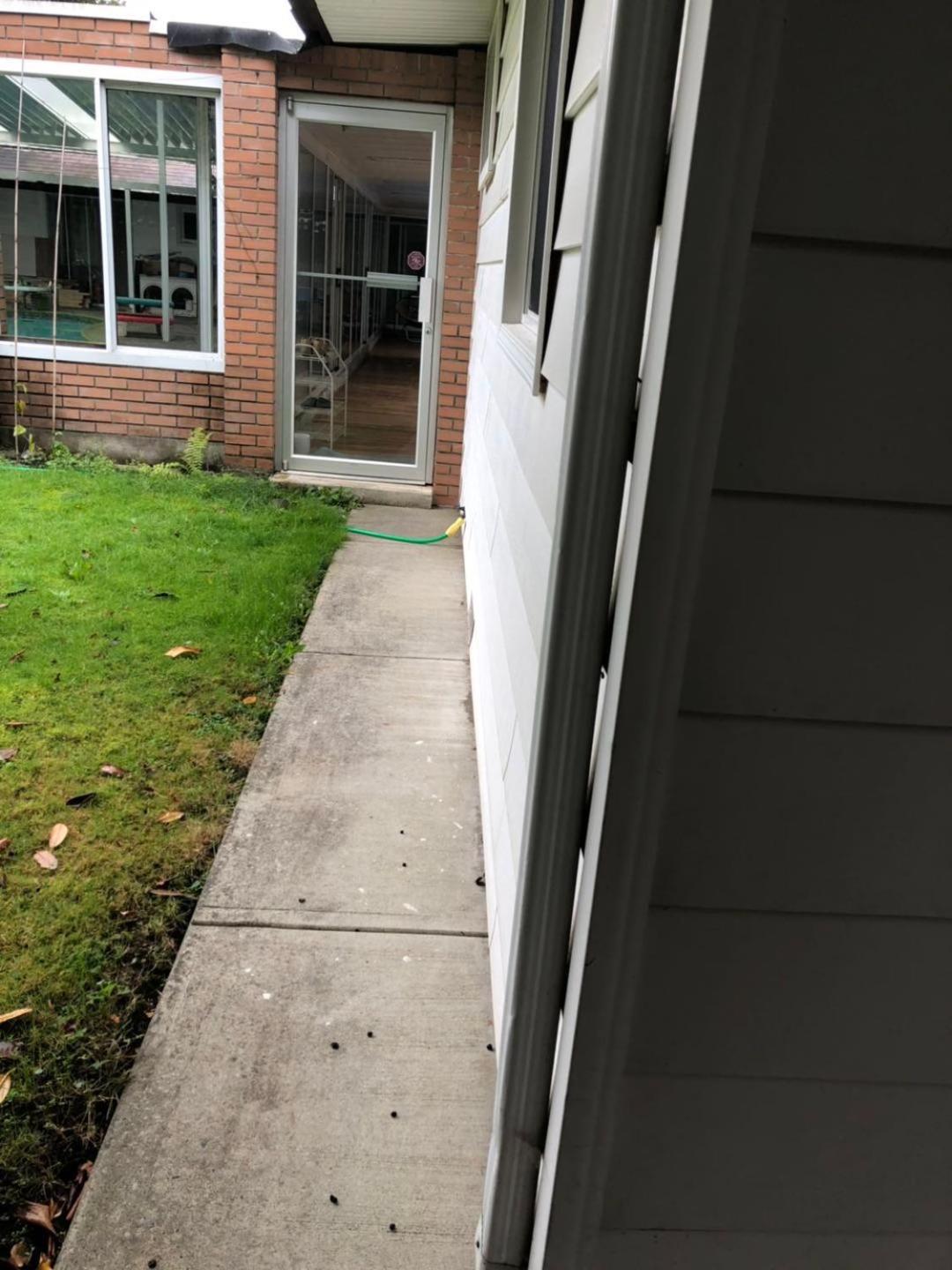 Vancouver Shaughnessy Guest Home Bagian luar foto